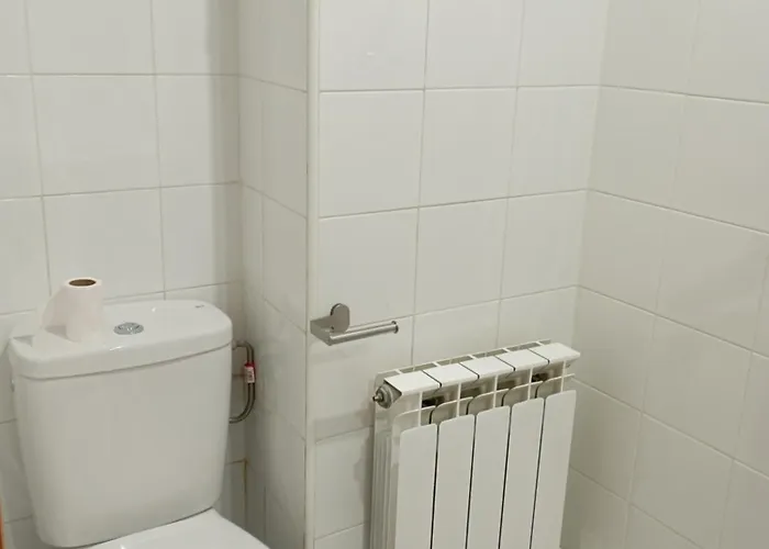 Con Bano Propio Y Zonas Compartidas Апартаменты Паленсия